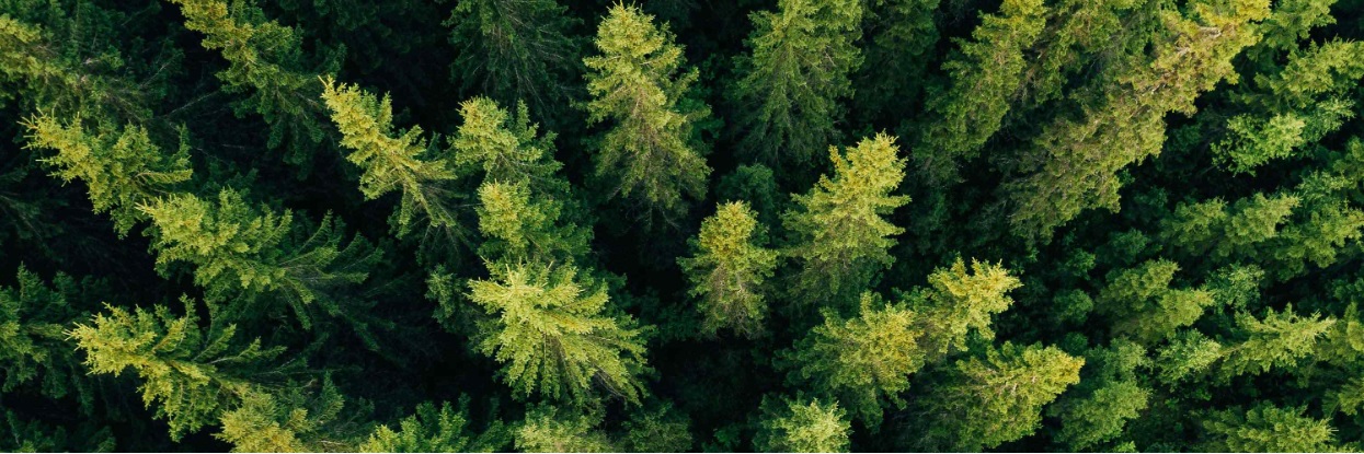 Att samla in och sammanställa hållbarhetsdata – metoder och verktyg