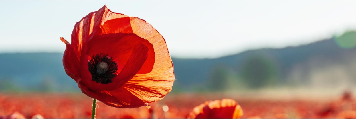 Diplomerad hållbarhetschef