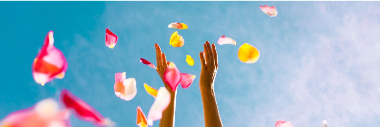 AH Diplomerad strateg – social hållbarhet