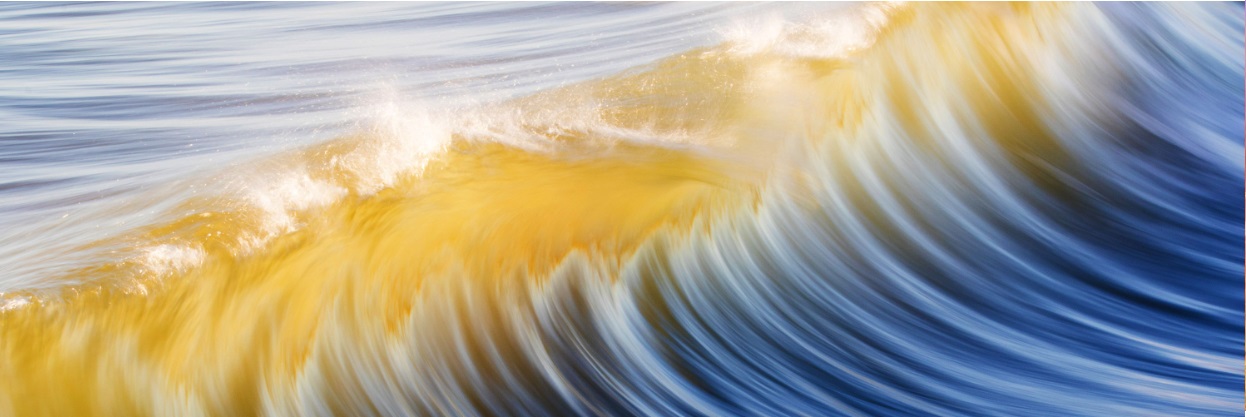 AH Disclosureförordningen, taxonomin och nya rådgivningskrav för fond- och kapitalförvaltare