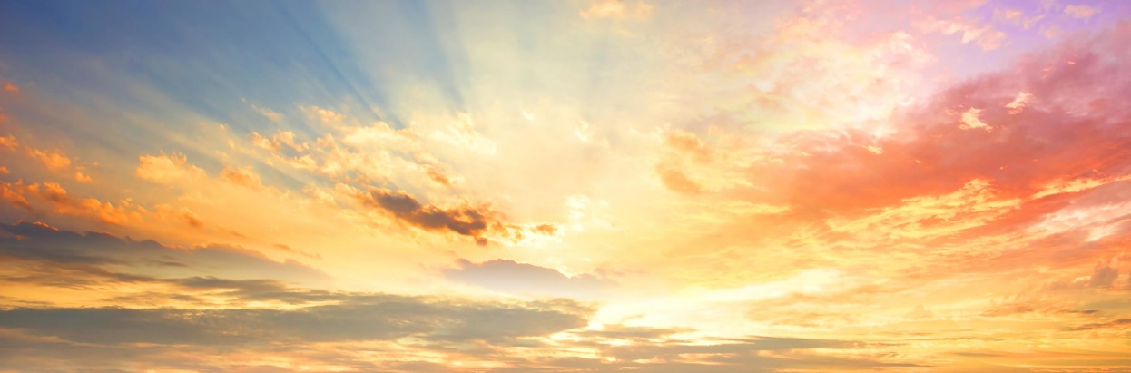 AH ESG-analys och strategi – att förstå, hantera och integrera ESG