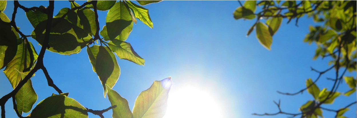 AH EU-taxonomin – så redovisar du enligt den nya lagen och investerares krav