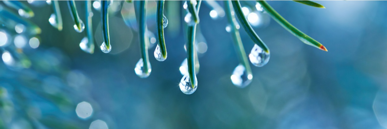 AH Ekosystemtjänster – att värdera och integrera i planering och beslut-1