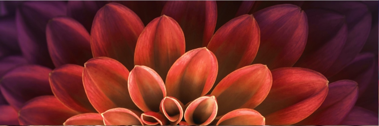 AH Hållbarhetskommunikation i praktiken – så skapar du engagerande och trovärdig kommunikation