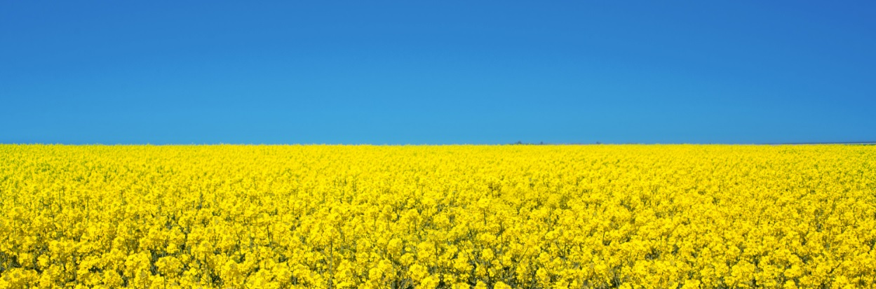 AH Klimatutsläpp och kolinlagring i marksektorn – beräkna och sätta mål enligt GHG och SBTi Bild