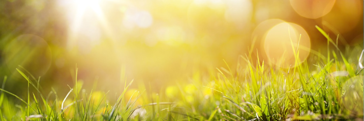 AH MKB enligt kapitel 6 i miljöbalken – så genomför du en tillståndsprövning