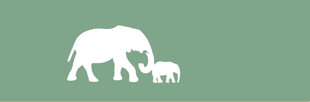 AH Nudging för hållbara val – så gör du det lätt att göra rätt