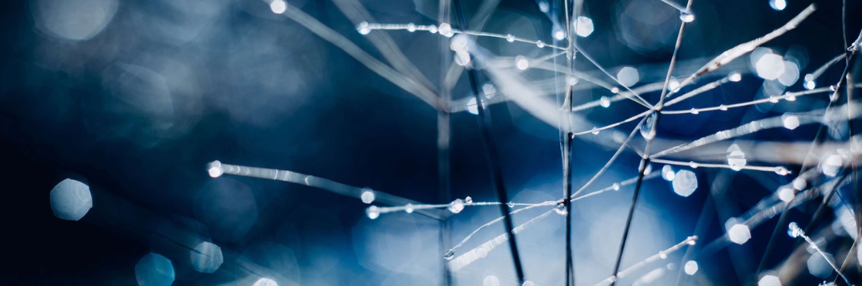 Redovisa och hantera klimatrelaterade finansiella risker och möjligheter enligt TCFD