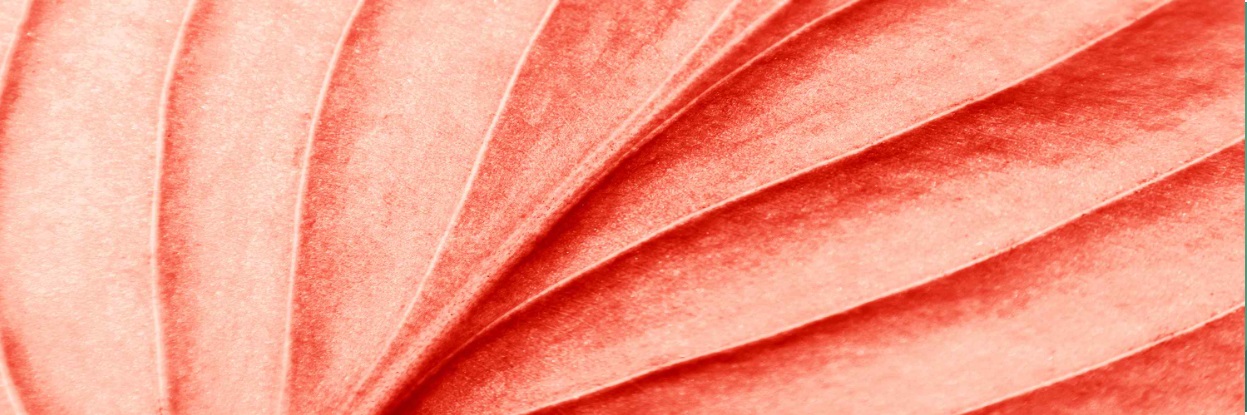 AH Scenarioanalyser enligt TCFD – identifiera, analysera och rapportera-1