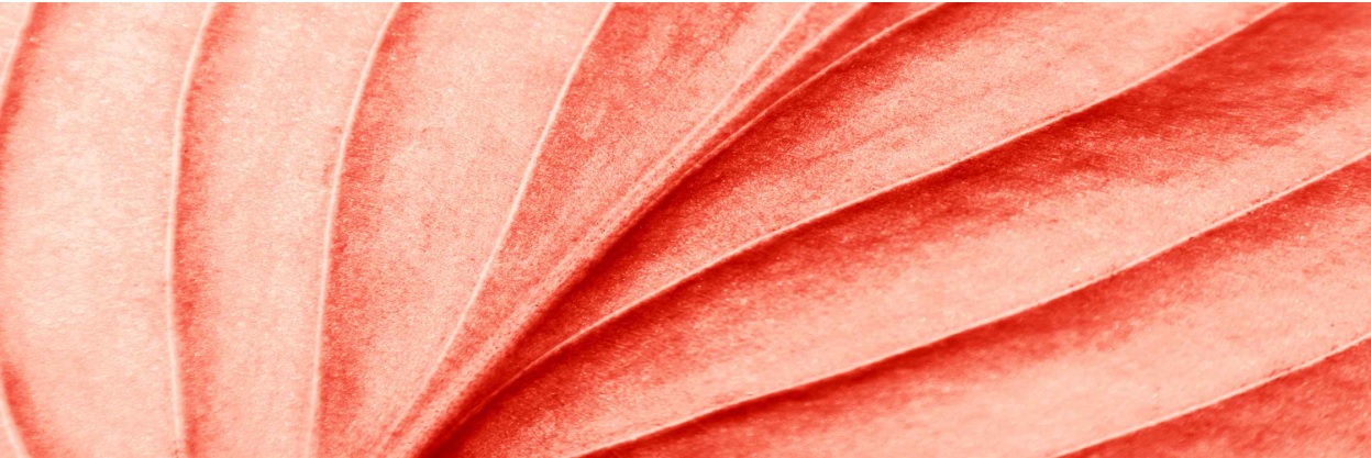 AH Scenarioanalyser enligt TCFD – identifiera, analysera och rapportera