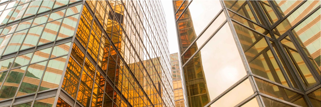 BI Fastighetstransaktioner i praktiken – från budgivning till tillträde