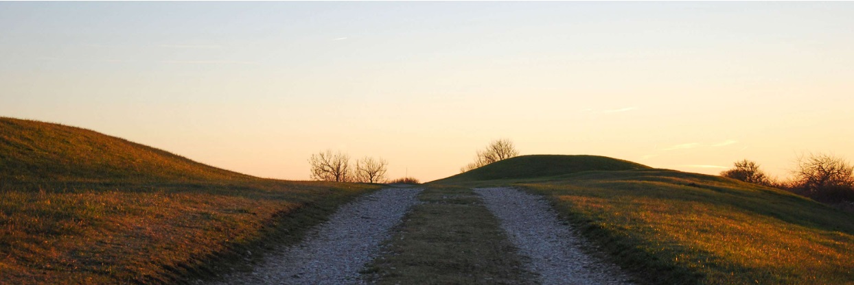 BI Juridik för fastighetsutvecklare – markaffärer i tidigt skede