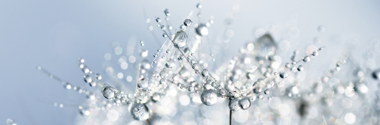 BILD Introduktion till CSRD & ESRS – så fungerar EUs nya lag om hållbarhetsredovisning