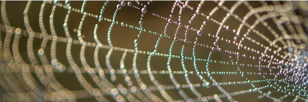 AI för offentlig sektor – möjligheter, risker och praktisk användning