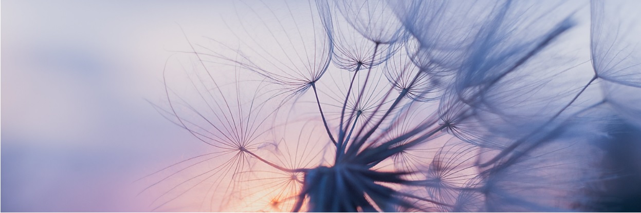 Bild Beredskapsplanering för kris och krig