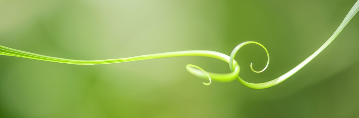 Bild Diplomerad processledare inom hållbarhet – att lyckas med komplexa utvecklingsprocesser