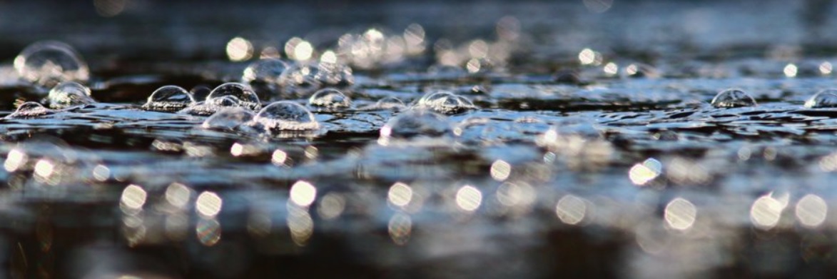 CSRD & ESRS – så hållbarhetsredovisar du enligt nya EU-lagen BILD