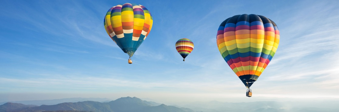 DS Tillitsbaserad ekonomi- och verksamhetsstyrning – dynamisk budget, prognos och målstyrning