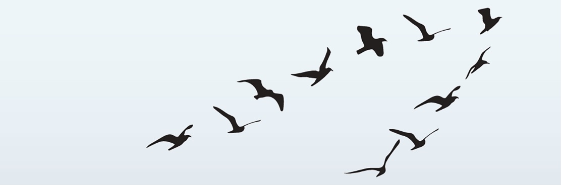 DS Tillitsbaserat ledarskap i praktiken – från detaljstyrning till ökat engagemang