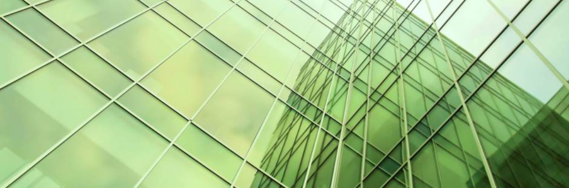 Di A Diplomerad vd – ansvaret, ledarskapet och verktygen för att lyckas