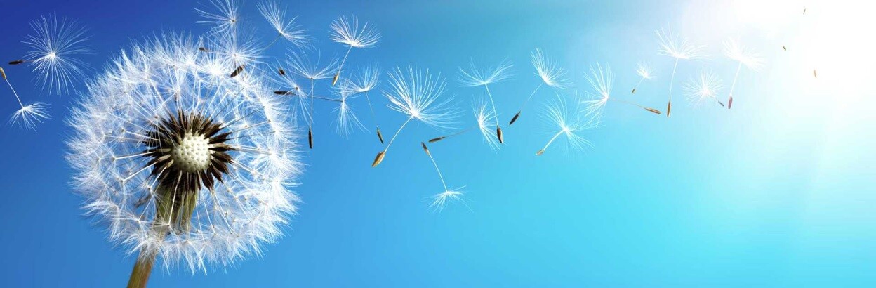 Diplomerad hållbarhetsstrateg – näringsliv BILD