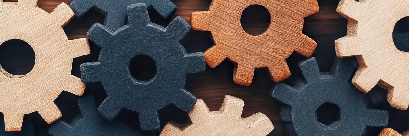 Diplomerad processledare – att leda och utveckla processer inom offentlig sektor BILD