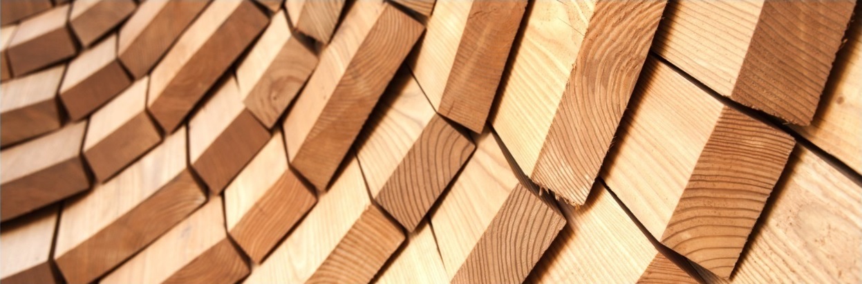 ESG och hållbarhet för bygg- och fastighetsbranschen – att förstå, implementera och kommunicera ESG BILD