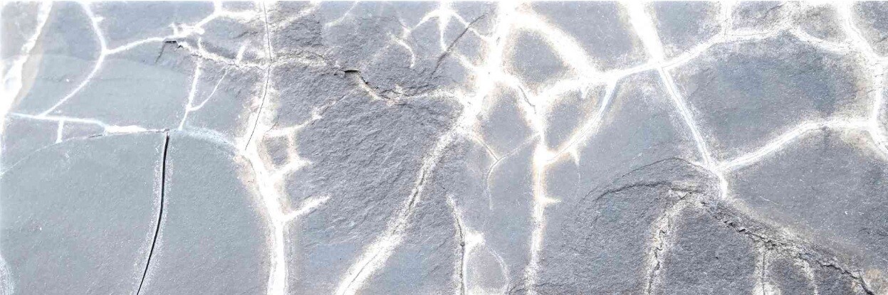 Forced Labour Regulation – så uppfyller du EUss nya lag mot tvångsarbete BILD