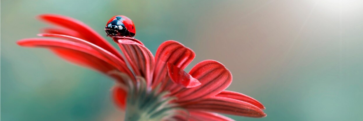 Hållbarhetssamordnare BILD