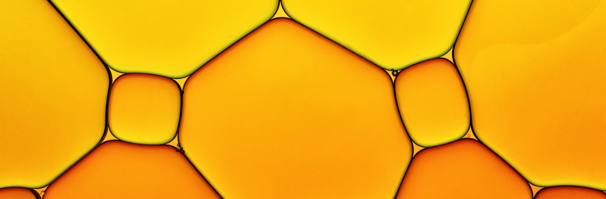 ISO 26000 – så skapar du ett strukturerat och värdeskapande hållbarhetsarbete BILD