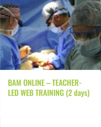 KOMP - BAM Online Teacher LED WEB training 2 days