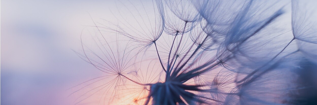 Minska kostnaderna för ekonomiskt bistånd i din kommun – så lyckas du BILD