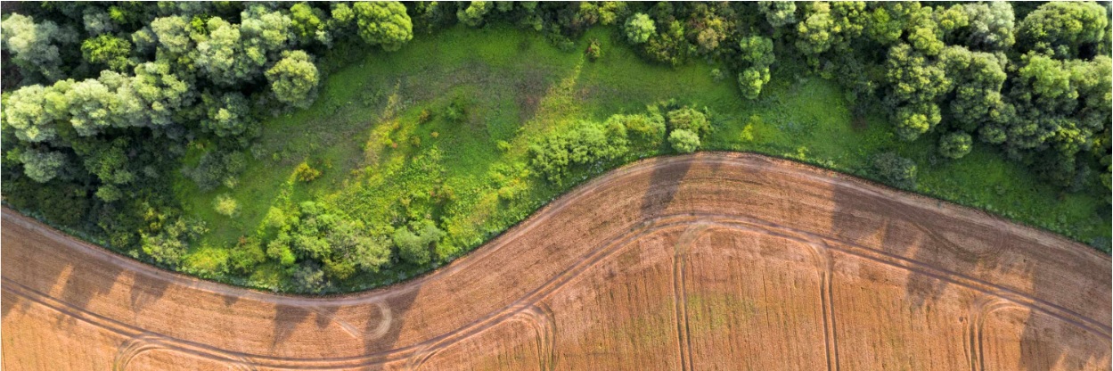 ah Dubbel väsentlighetsanalys – enligt lagkrav och standarder och som grund för strategin