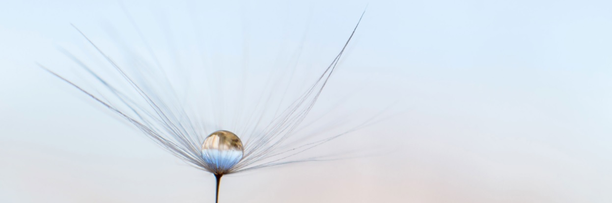 bild Att leda i vården – så får du motiverade, välmående och effektiva medarbetare