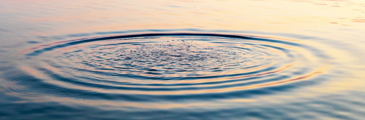 bild Hållbarhetsrapportering för små och medelstora företag i linje med CSRD och ESRS