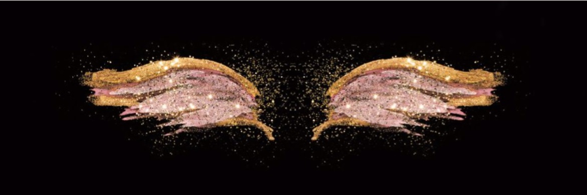 di a Diplomerad affärsängel – investera i tidiga onoterade bolag